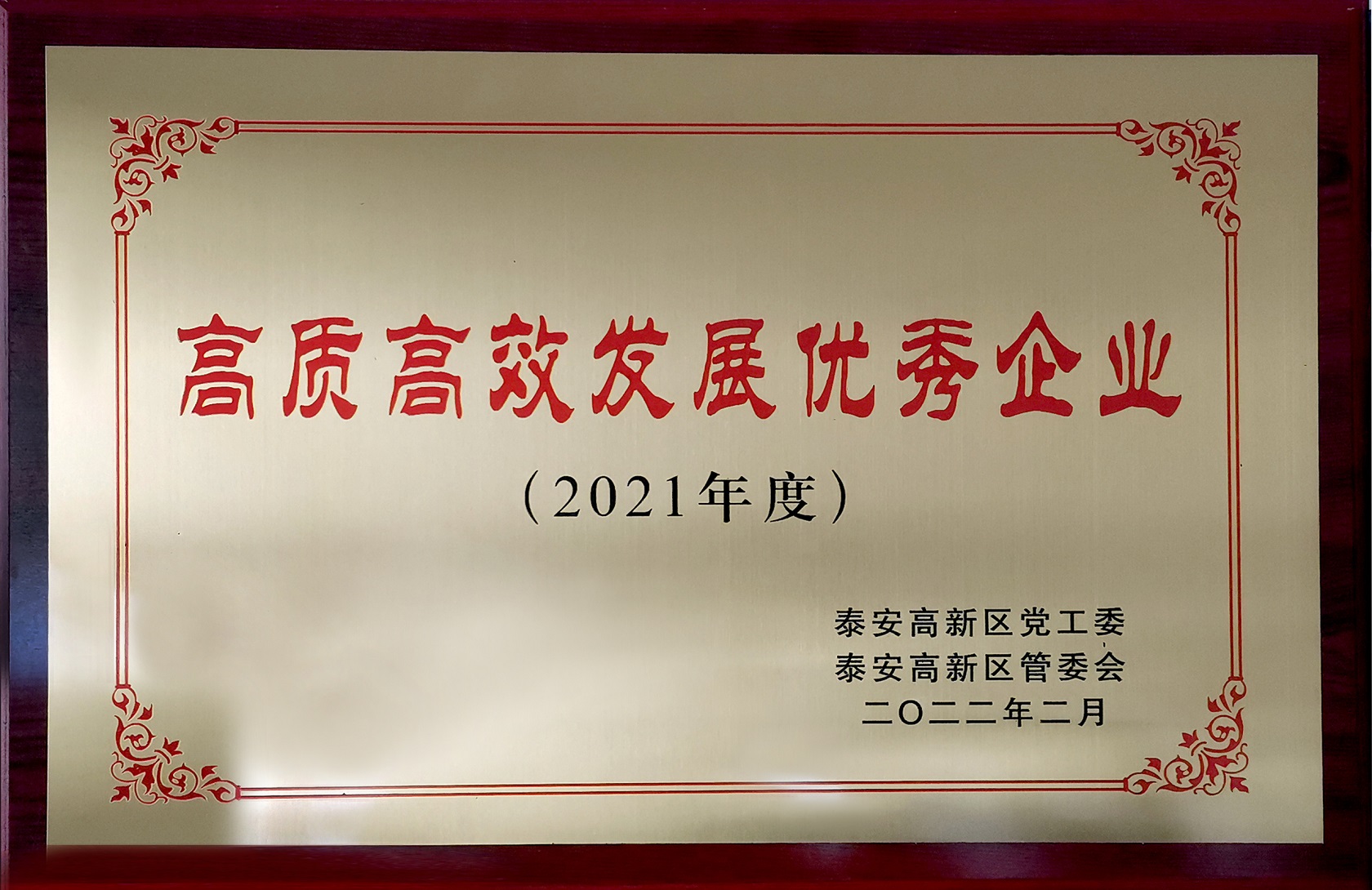 2021年度高质高效发展优良企业